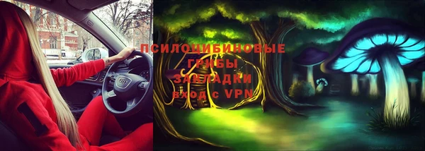меф Арсеньев