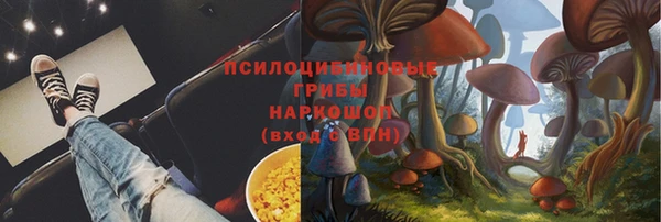 меф Арсеньев