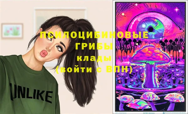 меф Арсеньев
