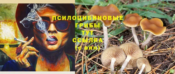 молекула духа Армянск