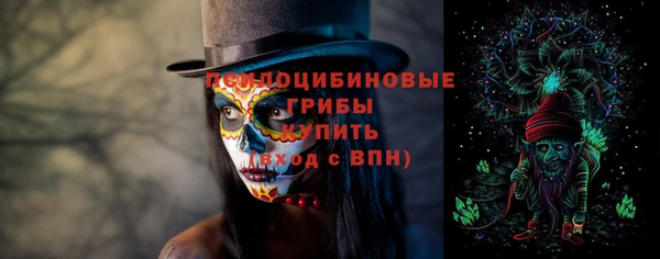 гидра Аркадак