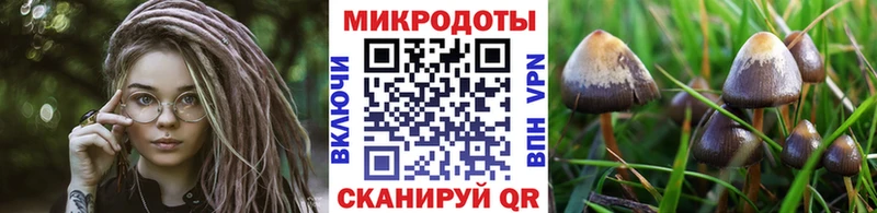 Галлюциногенные грибы ЛСД  Струнино 